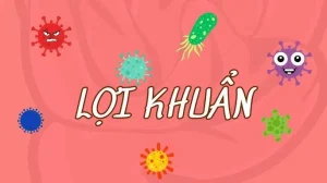 Tìm hiểu về tầm quan trọng của lợi khuẩn đối với trẻ em