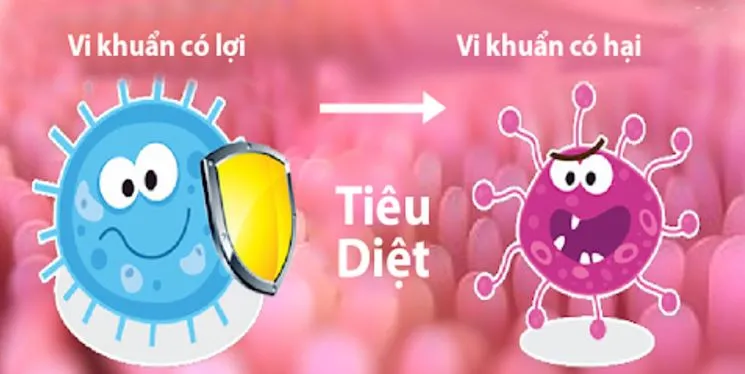 Tìm hiểu về tầm quan trọng của lợi khuẩn đối với trẻ em