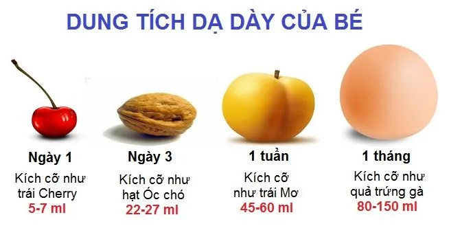 Cữ ăn của trẻ sơ sinh như thế nào?