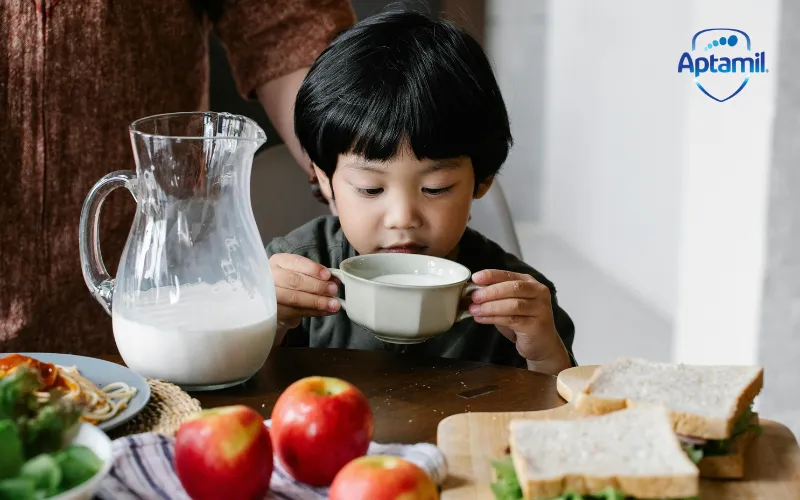 Khám Phá Aptamil Pronutra: Sự Lựa Chọn Dinh Dưỡng Hoàn Hảo