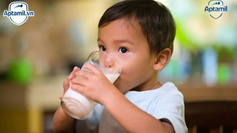 Aptamil số mấy cho trẻ ăn dặm