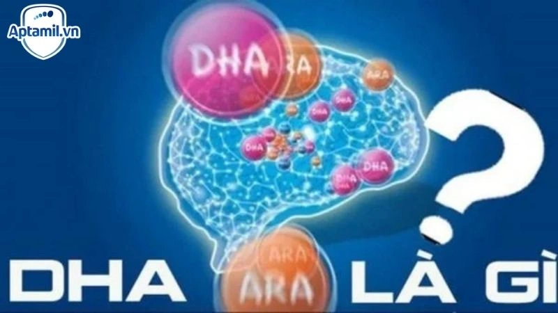 DHA Là Gì