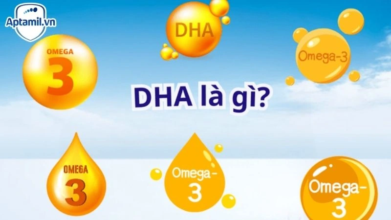 DHA Là Gì