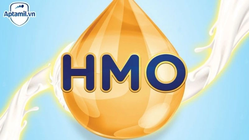 HMO Là Gì