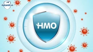 HMO Là Gì