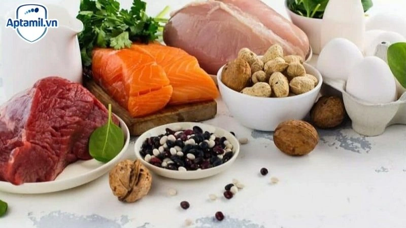 Choline Là Gì