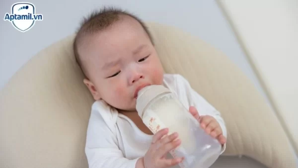 nên chọn sữa ngoại hay sữa nội