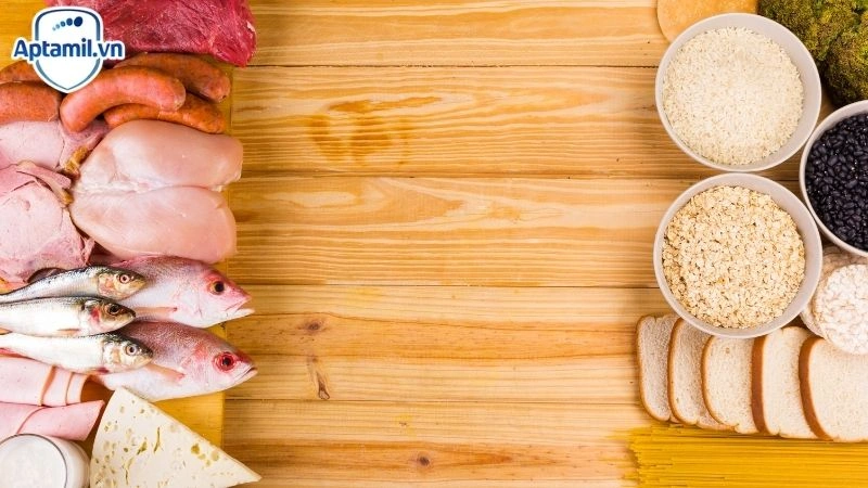 Protein A2 Là Gì