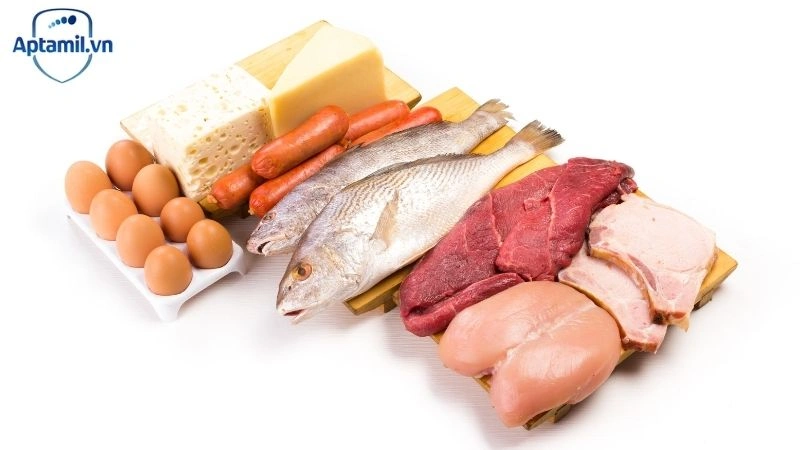 Protein A2 Là Gì