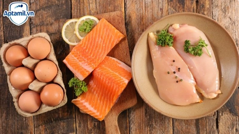 Protein A2 Là Gì