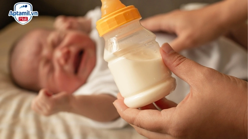 lựa chọn sữa cho bé